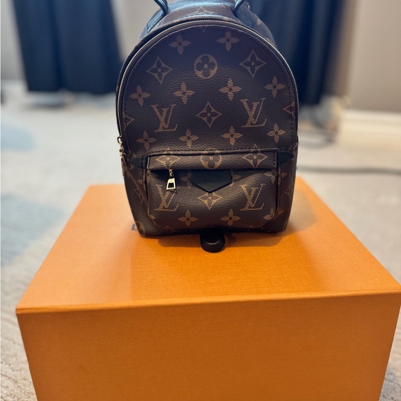 Louis Vuitton Palm Springs Mini - Picture 2 of 15